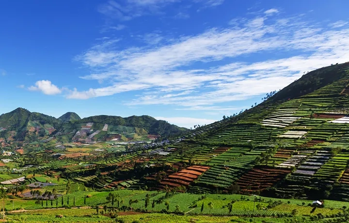 Town in Malaysia with rice fields and mountain in the background