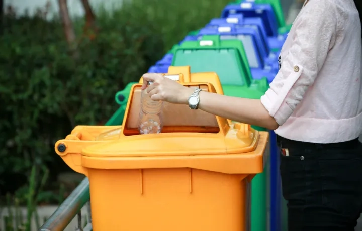 Alam flora bin