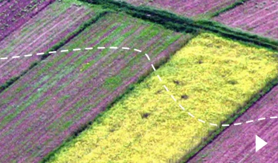 Performance assessment tool card image