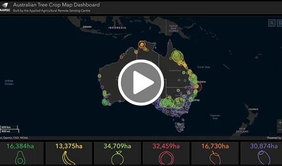 tree crop map video