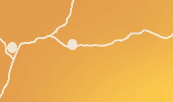 WebCard_Dashboards_768x451_p2.png