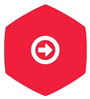 Red arrow icon